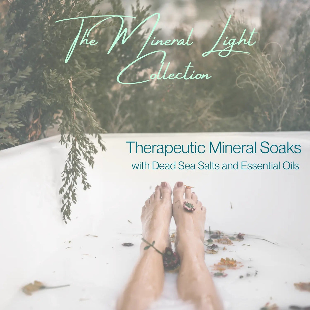 SACRED GROVE | Grounding forest magnesium & mineral rich bath salts | Foot soaks