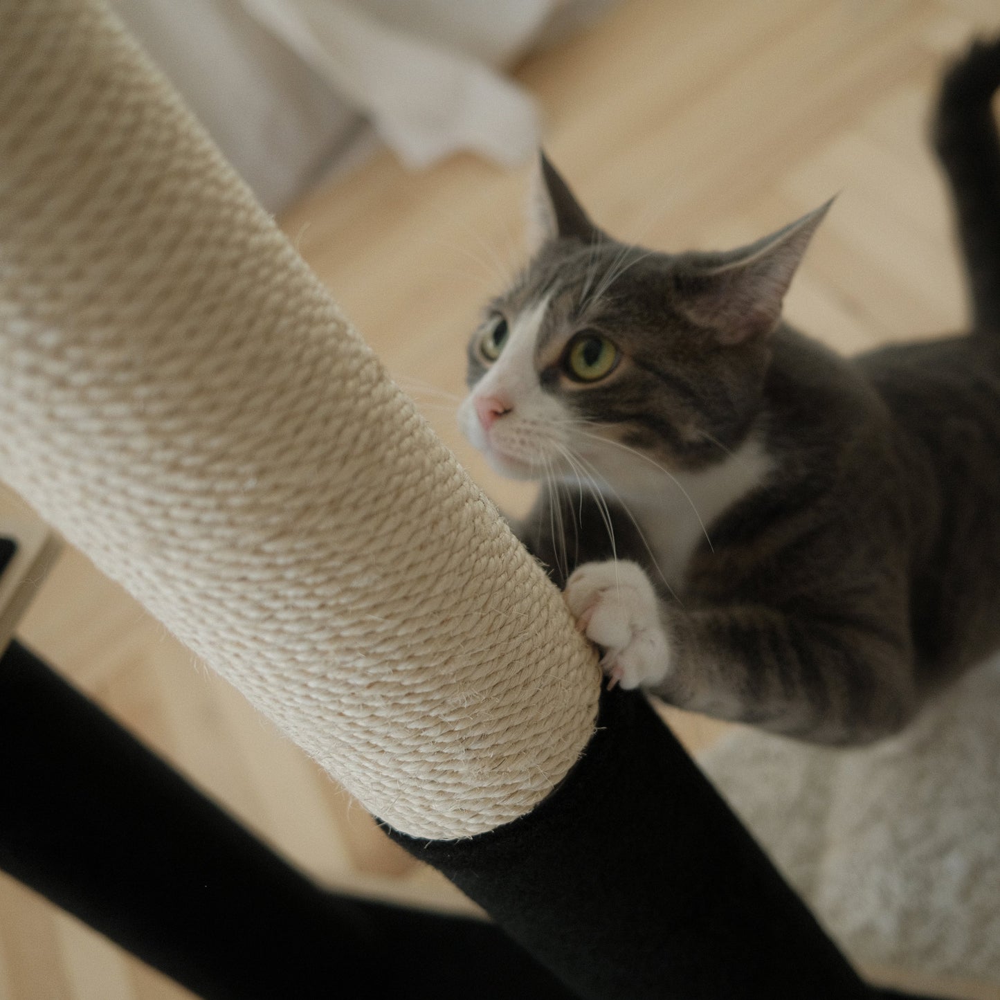 Arbre à chat moderne Noba à 2 niveaux en contreplaqué