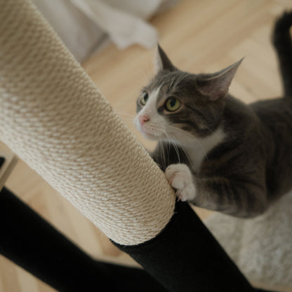 Arbre à chat moderne Noba à 2 niveaux en contreplaqué
