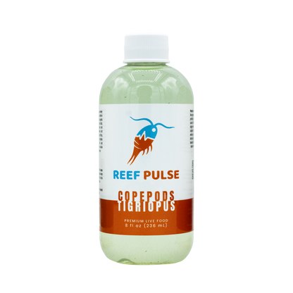 Tigriopus Live Copepods - Reef Pulse