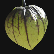 Tomatillo Mix