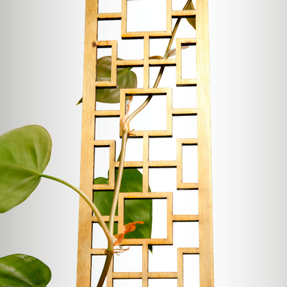 Treillis en bois carrés tropicaux
