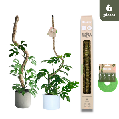 Pack ultime de tuteurs flexibles pour plantes