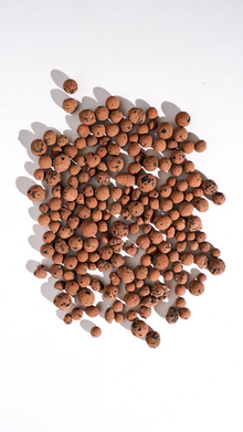 LECA (Billes d'argile) Standard