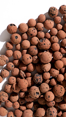 LECA (Billes d'argile) Standard