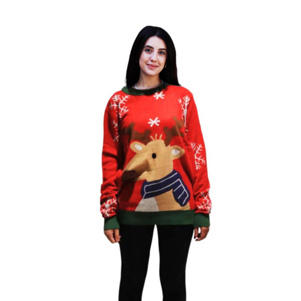 Pull de renne avec un pompon