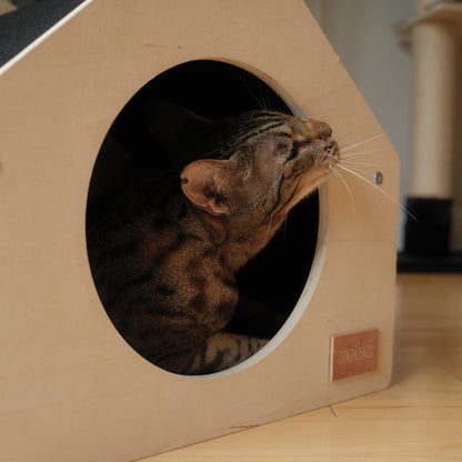 La niche urbaine pour animaux de compagnie