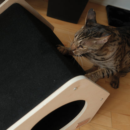 La niche urbaine pour animaux de compagnie