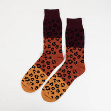 Late Night Leopard