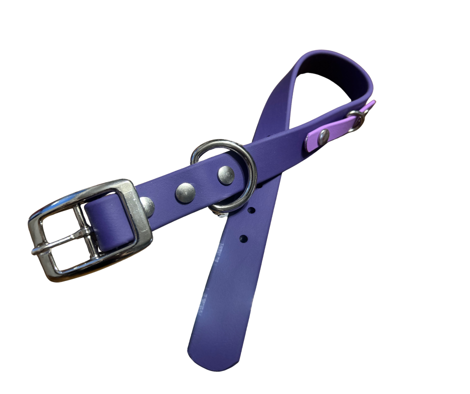 Special Offer on 1" Standard BioThane Dog Collar - Handmade in Quebec