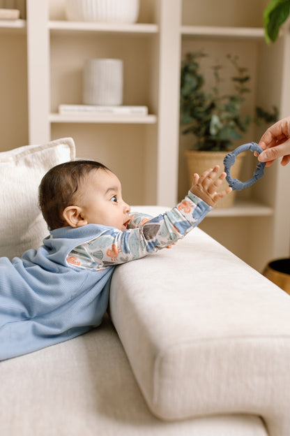 Wild Teether Ring Set - Blue Fog