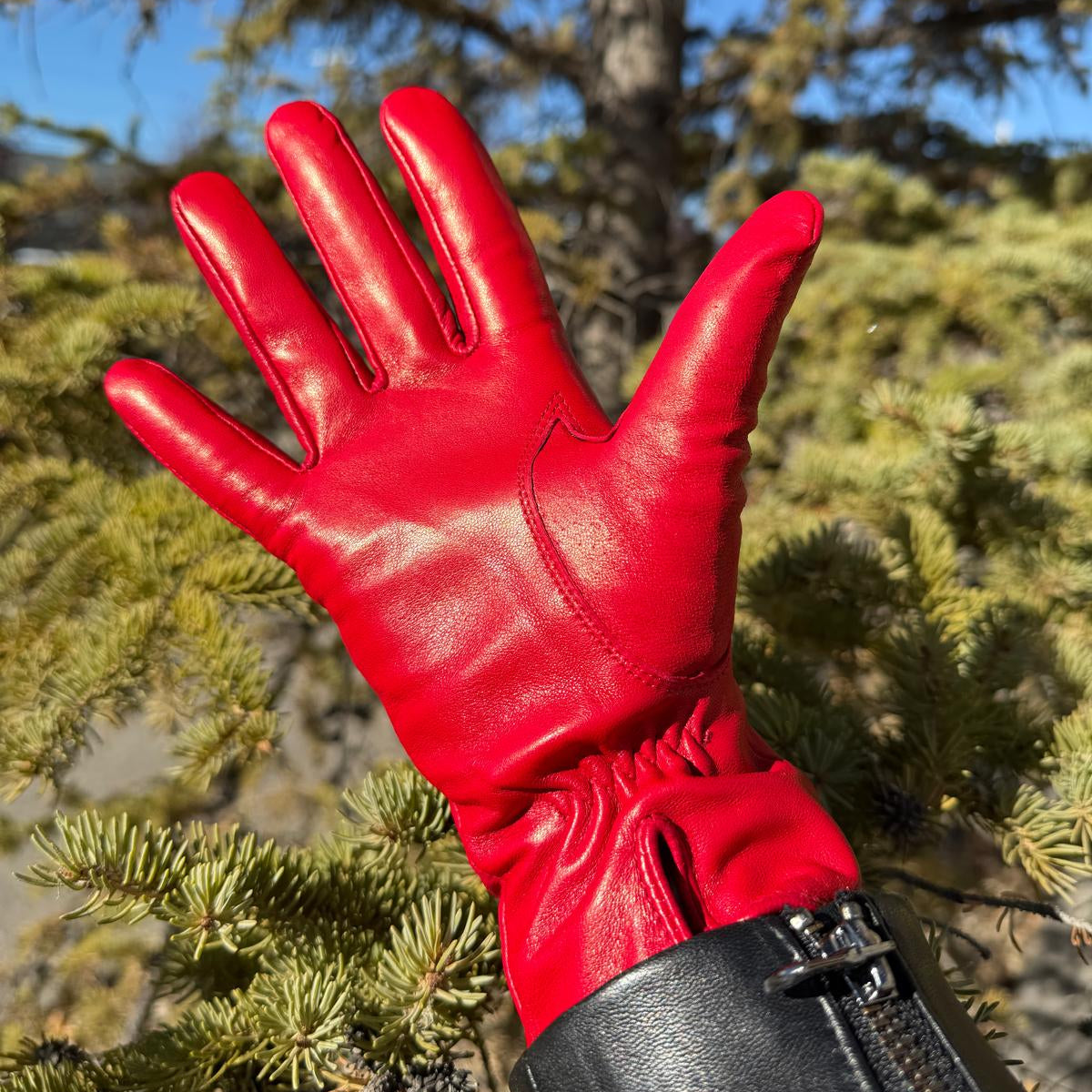 Gants en cuir d'agneau teint pour femme avec doublure en mélange de laine