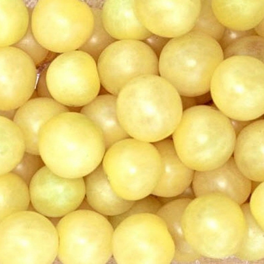 Tomate cerise blanche