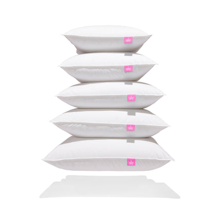 Coussins en duvet blanc