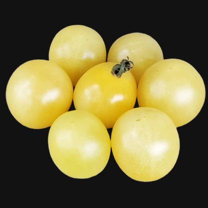 Tomate cerise blanche
