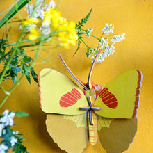 Papillon jaune