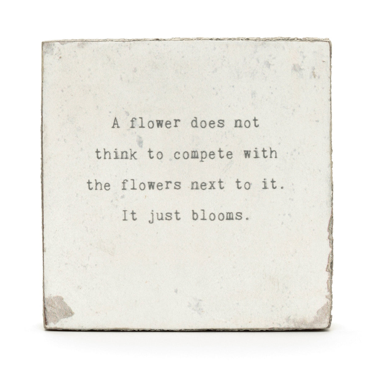 Art Block - Little Gem - A Flower Does Not