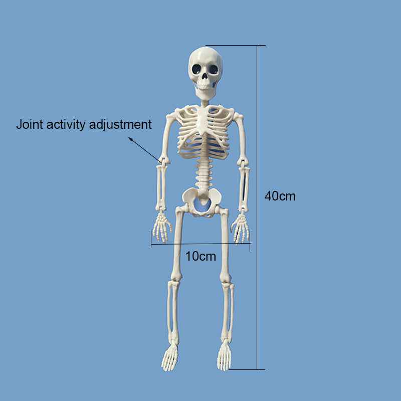 Décoration de crâne suspendu effrayant – Décoration de squelette fantôme d'Halloween pour intérieur et extérieur