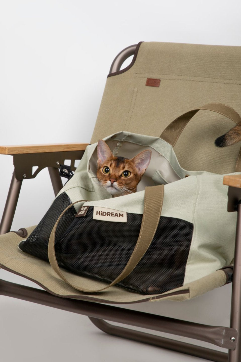 Sac de voyage pour animaux de compagnie à bandoulière Color-Block | Série Momopets™ GoBuddy