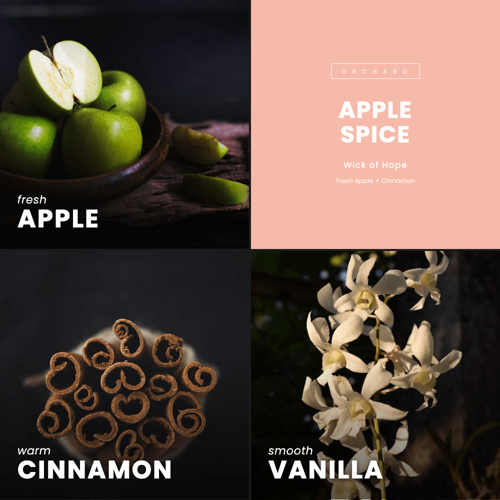 Apple Spice Candle | Fresh Apple + Cinnamon