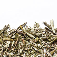 Argousier, feuille
