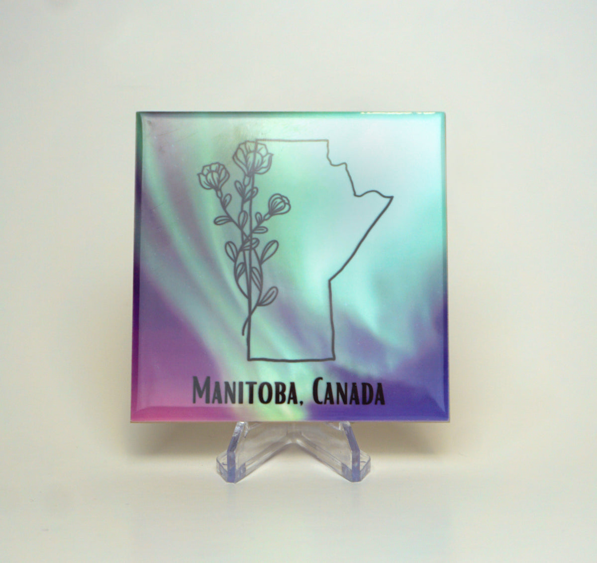 Manitoba Aurora Coaster