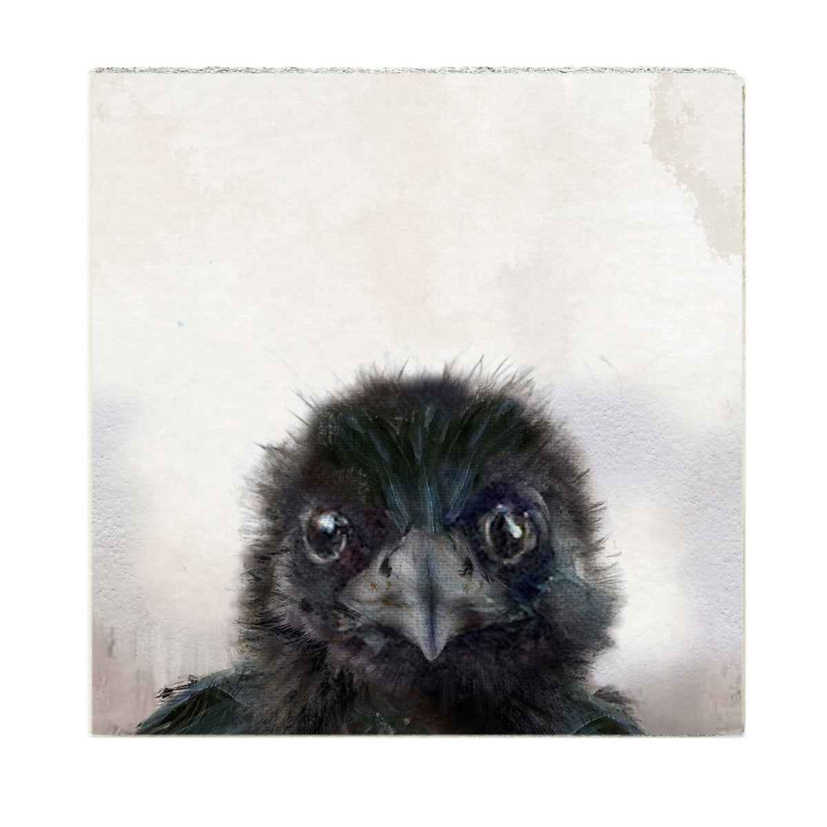 Art Block - Lost & Found - Baby Crow