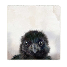 Art Block - Lost & Found - Baby Crow