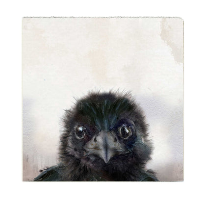 Art Block - Lost & Found - Baby Crow