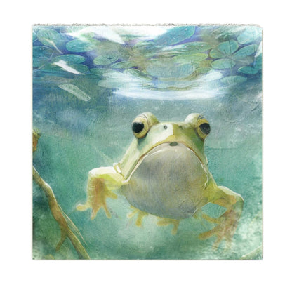 Art Block - Lost & Found - Frog
