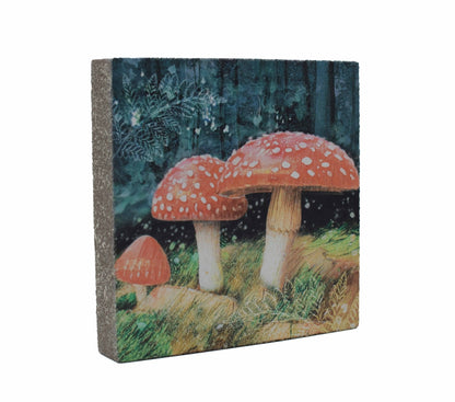 Art Block - Lost & Found - Mushrooms