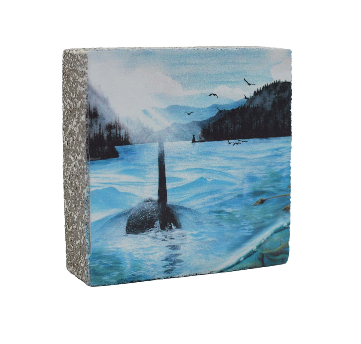 Art Block - Lost & Found - Orca Straight