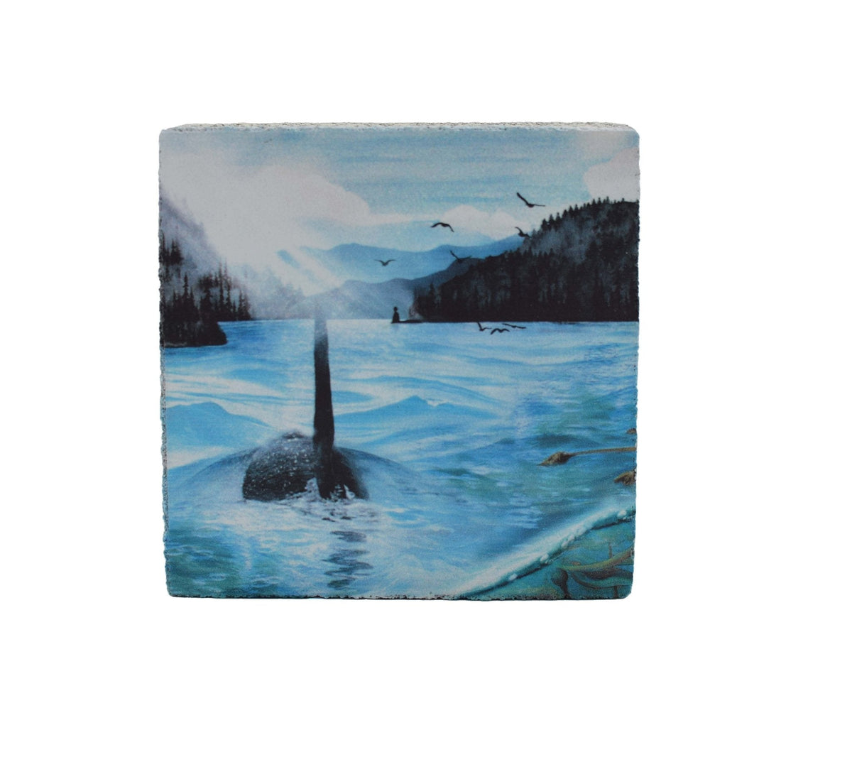 Art Block - Lost & Found - Orca Straight