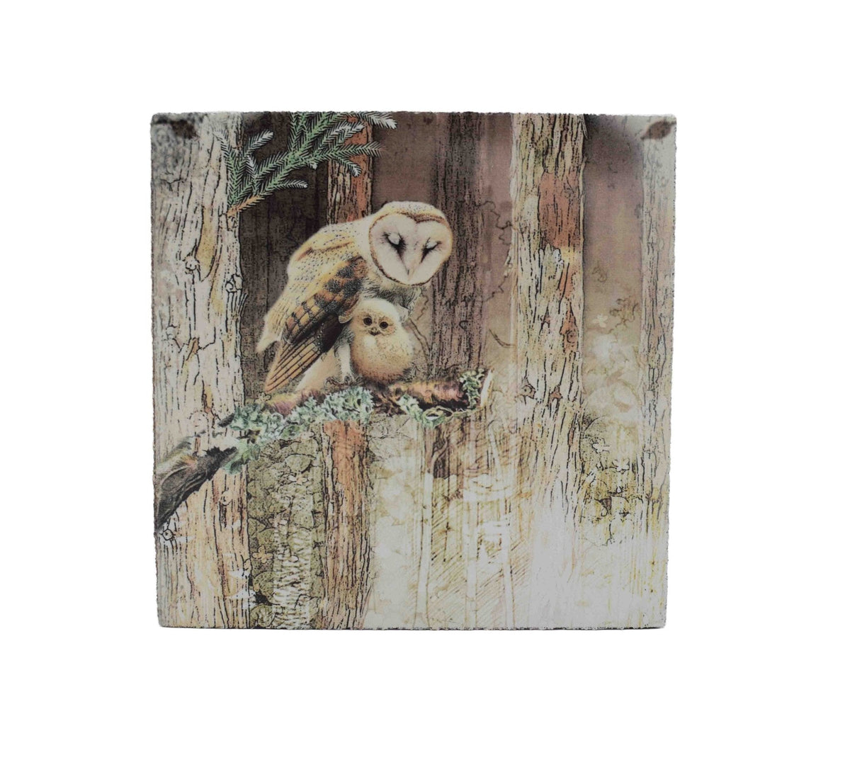 Art Block - Lost & Found - Owl and Owlet
