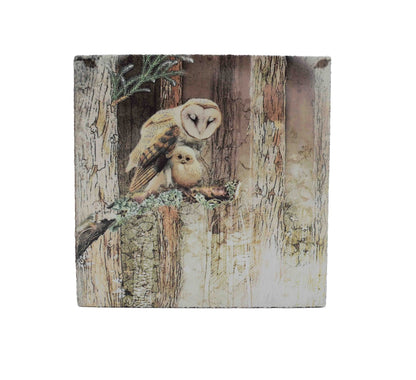 Art Block - Lost & Found - Owl and Owlet