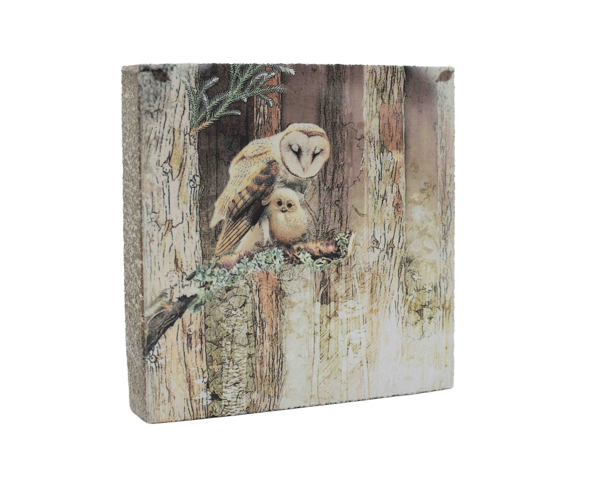Art Block - Lost & Found - Owl and Owlet