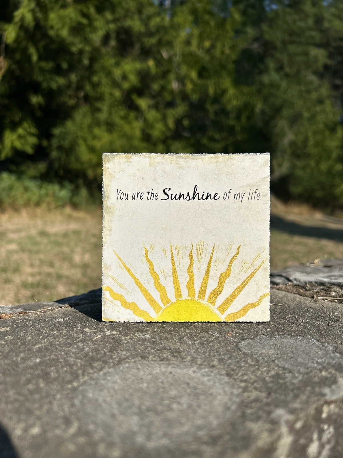 Art Block - Lost & Found - Sunshine