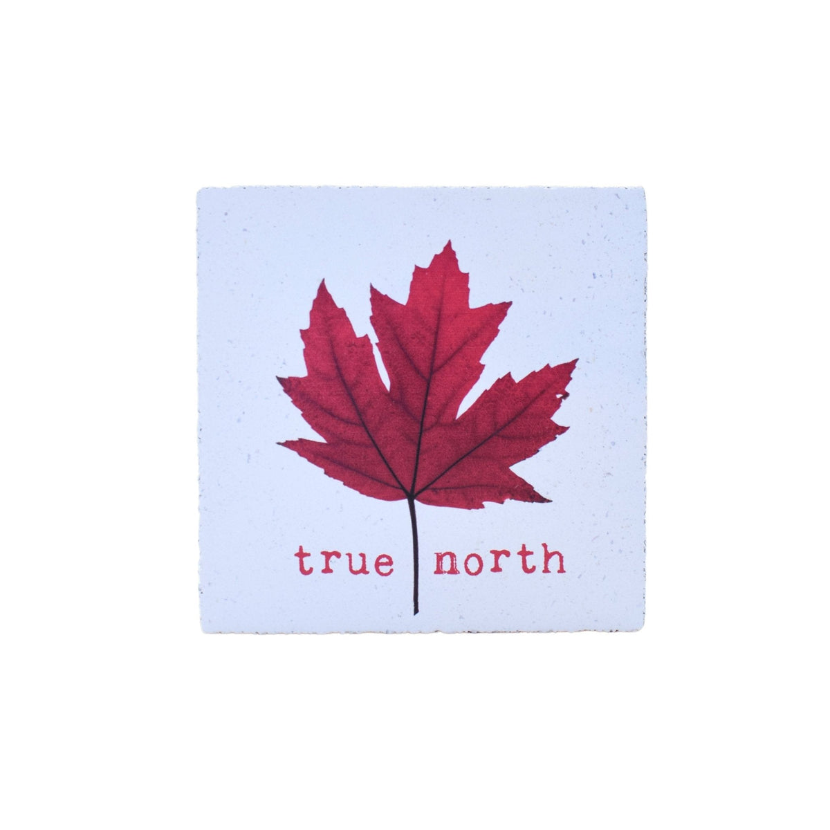 Art Block - Lost & Found -True North