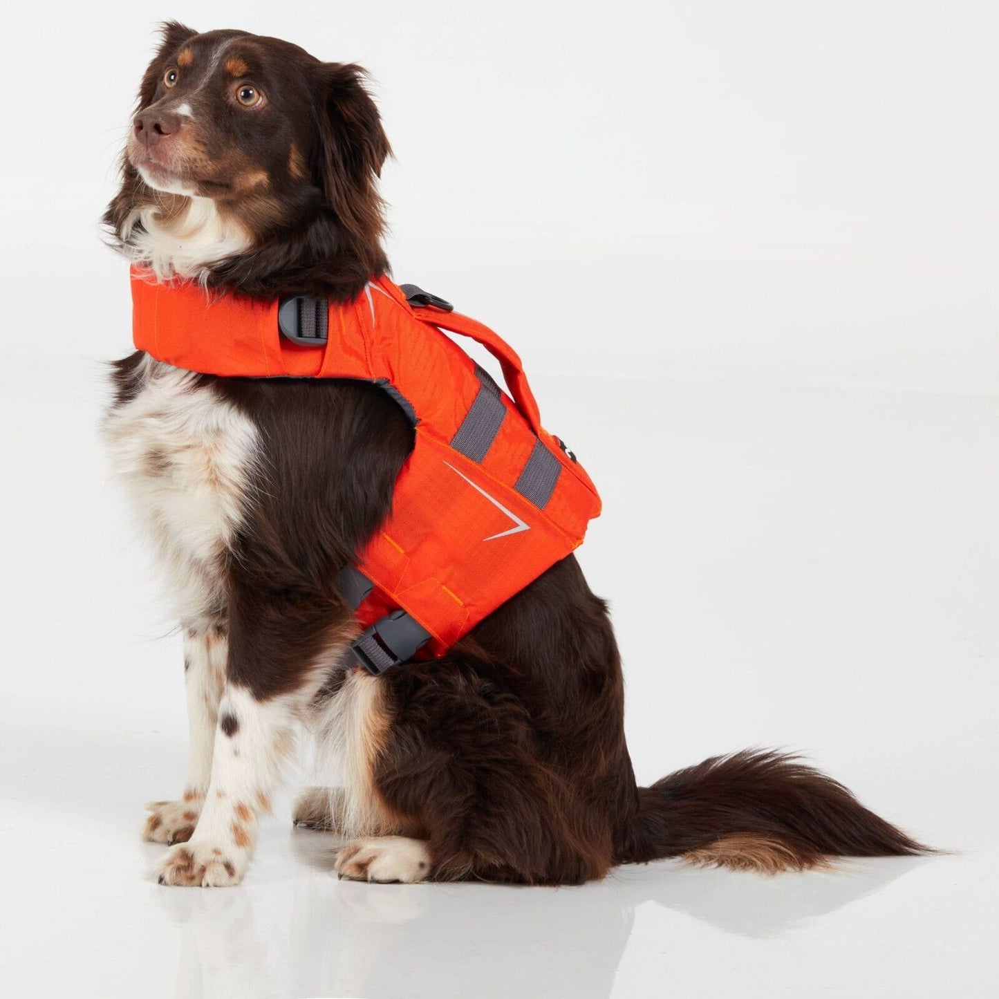Gilets de sauvetage NRS CFD pour chiens, taille XL