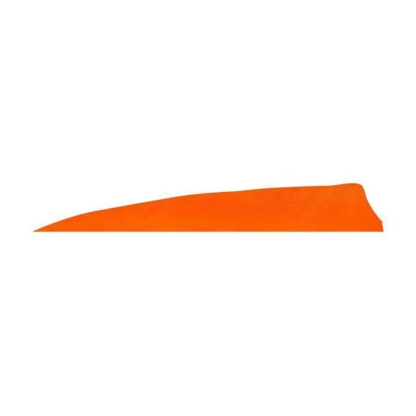 Plumes de bouclier d'archerie badass d'aile droite – Paquet de 36