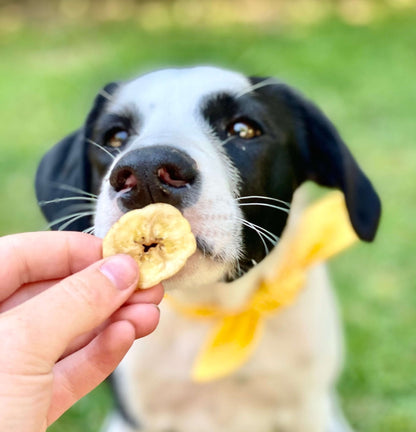 Banana Chips