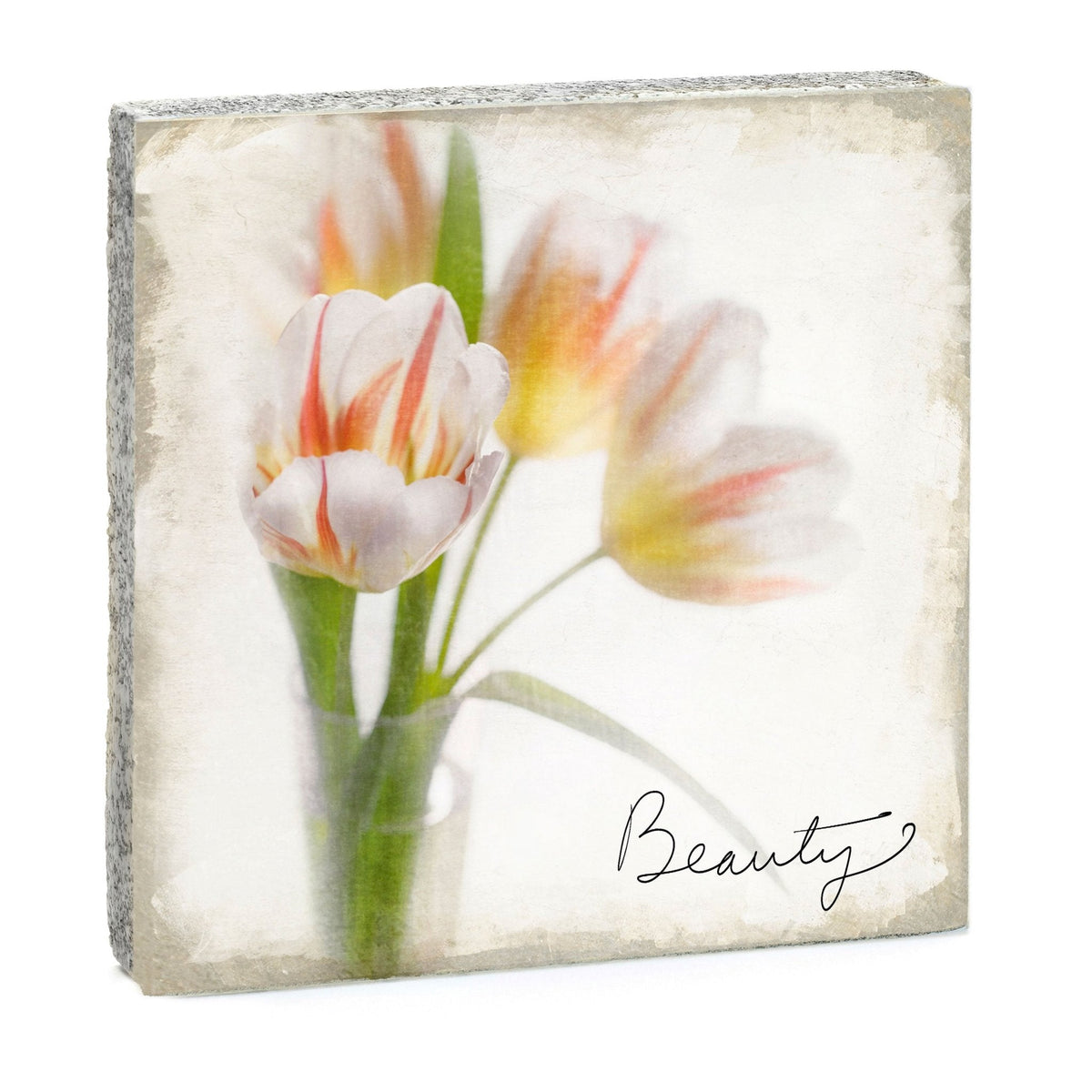 Art Block - Lost & Found - Beauty
