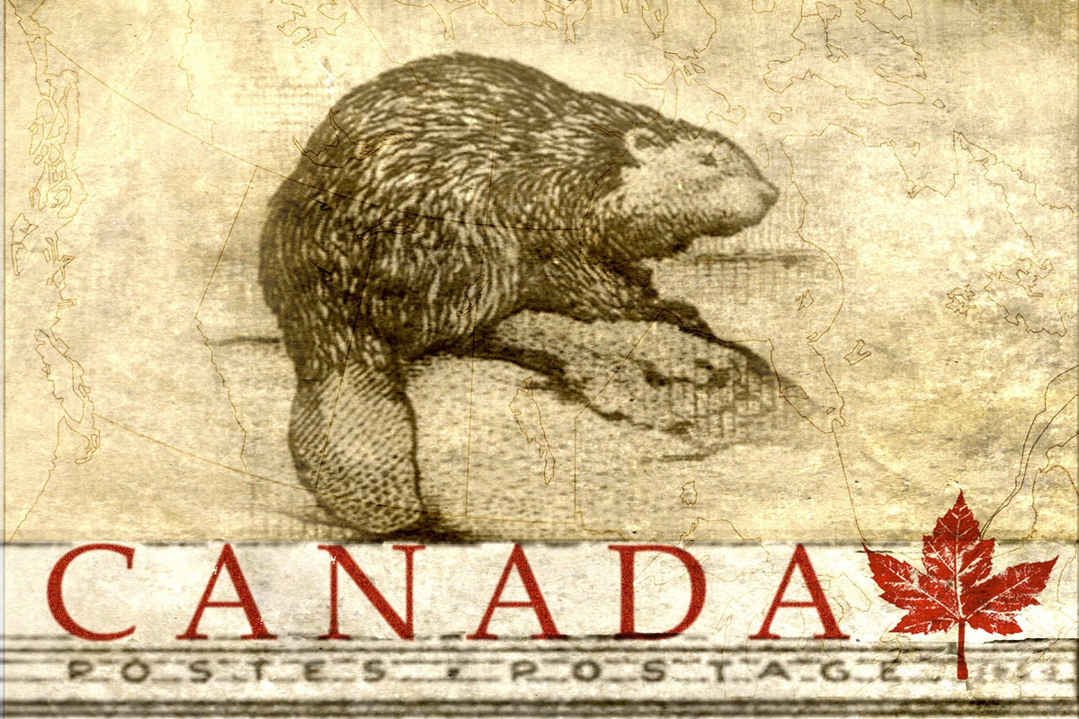Wood Postcard - Beaver Canada