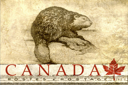 Wood Postcard - Beaver Canada