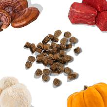 Mini Friandises d'entraînement au bœuf