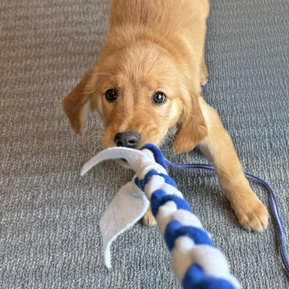 McCann Dogs Puppy Training Tug Toy *NEW!*