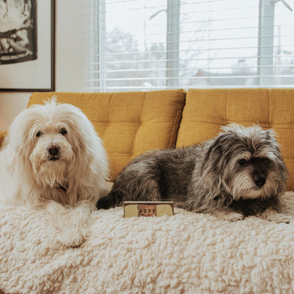 Timber Bit - Small - BFF