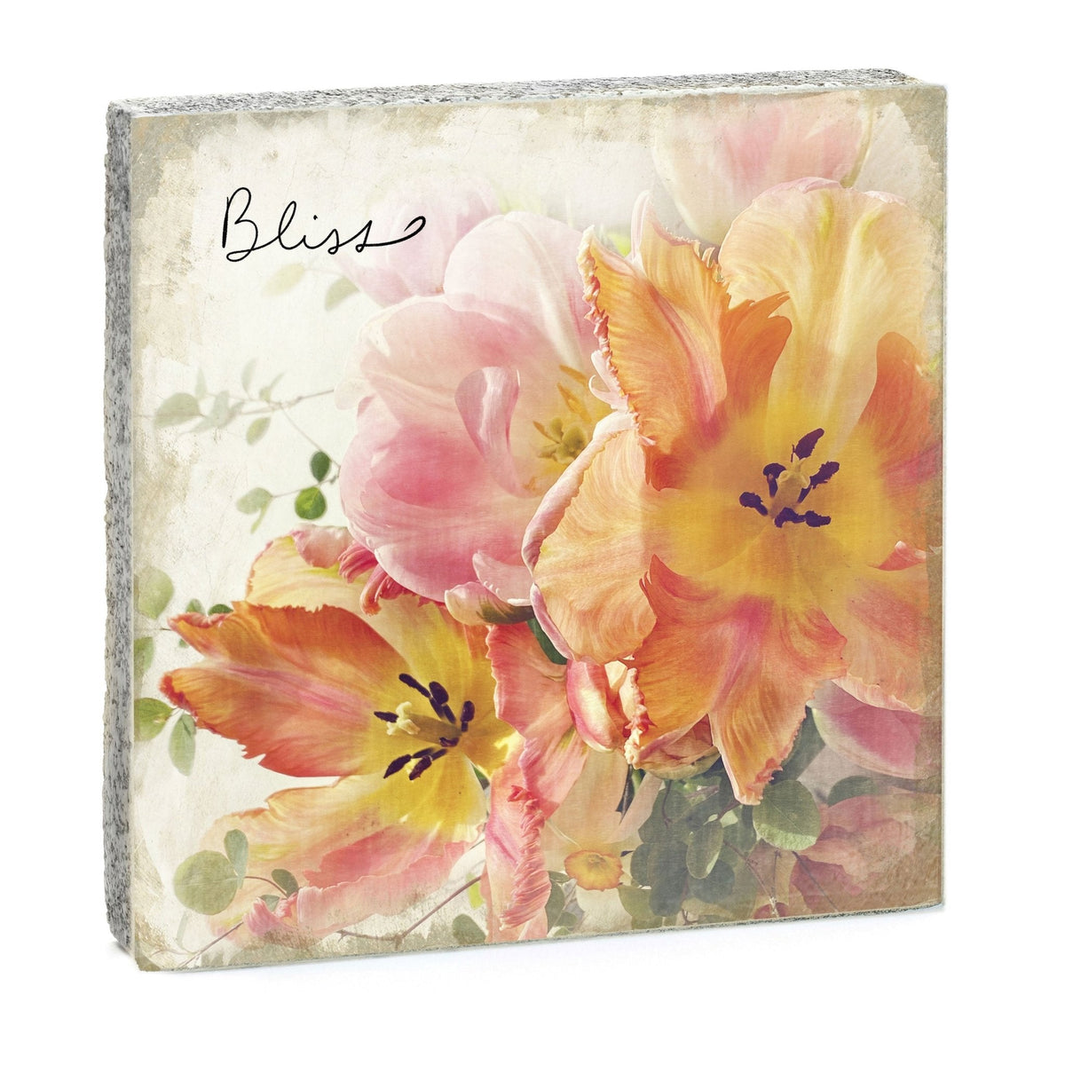 Art Block - Lost & Found - Bliss