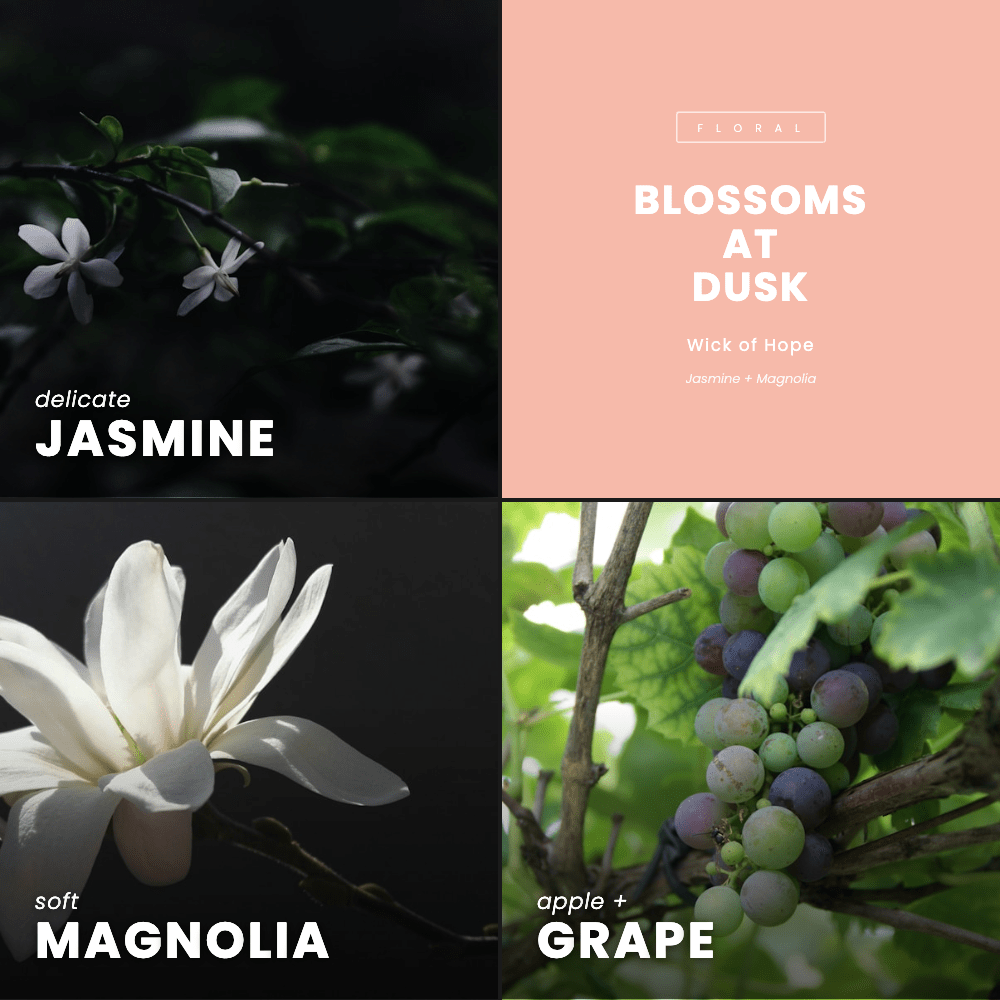 Blossoms At Dusk Wax Melt | Jasmine + Magnolia