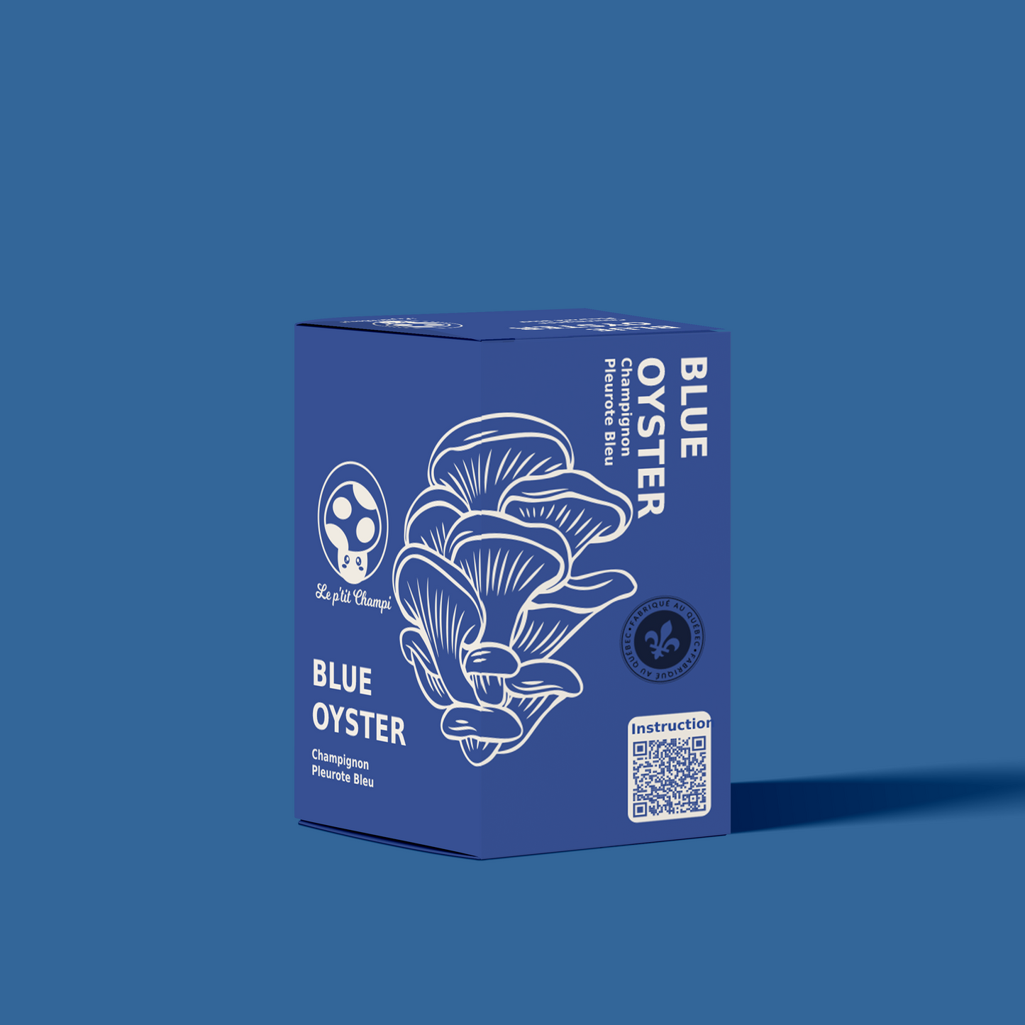 Kit de pleurotes bleus